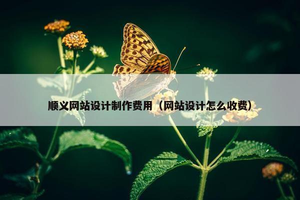 顺义网站设计制作费用（网站设计怎么收费）