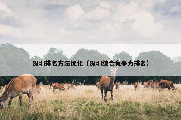 深圳排名方法优化（深圳综合竞争力排名）