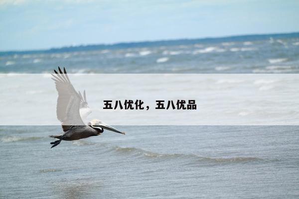 五八优化，五八优品
