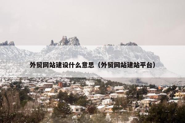 外贸网站建设什么意思（外贸网站建站平台）
