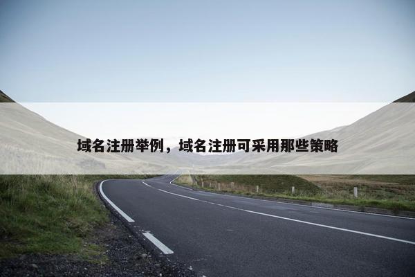 域名注册举例，域名注册可采用那些策略