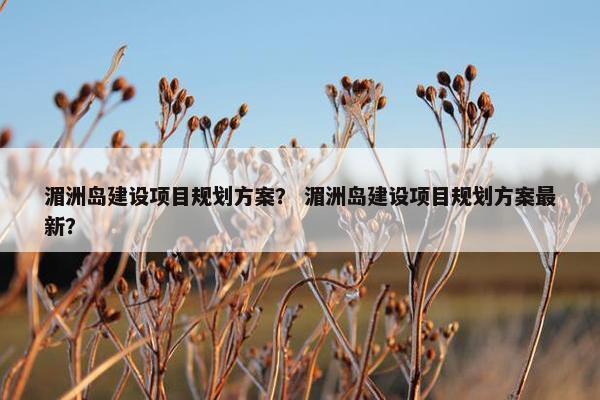 湄洲岛建设项目规划方案？ 湄洲岛建设项目规划方案最新？