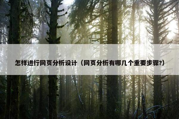 怎样进行网页分析设计（网页分析有哪几个重要步骤?）