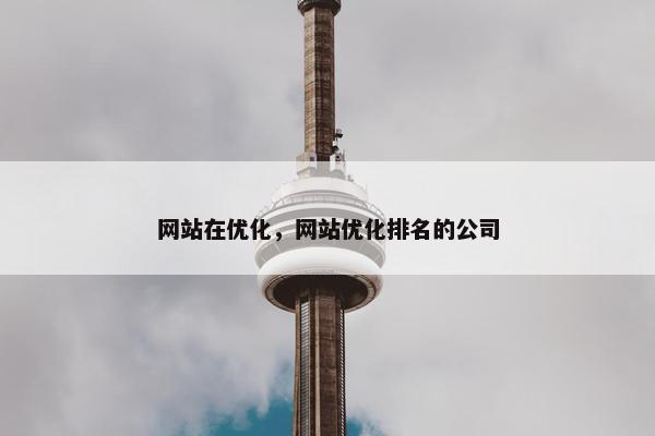 网站在优化，网站优化排名的公司