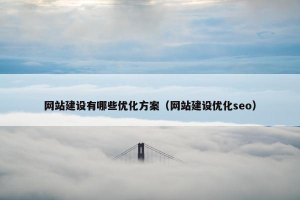 网站建设有哪些优化方案（网站建设优化seo）