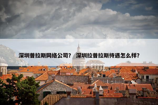 深圳普拉斯网络公司？ 深圳拉普拉斯待遇怎么样？