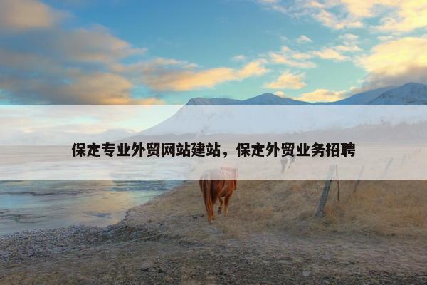 保定专业外贸网站建站，保定外贸业务招聘