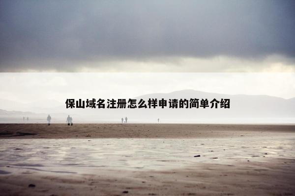 保山域名注册怎么样申请的简单介绍