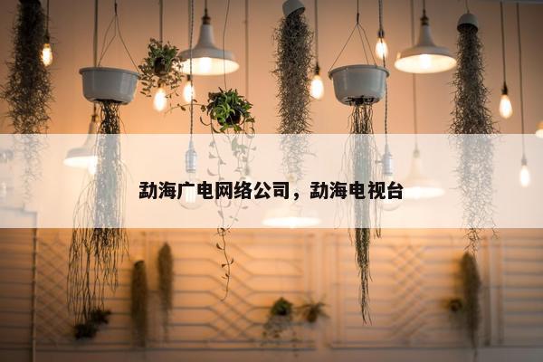 勐海广电网络公司，勐海电视台