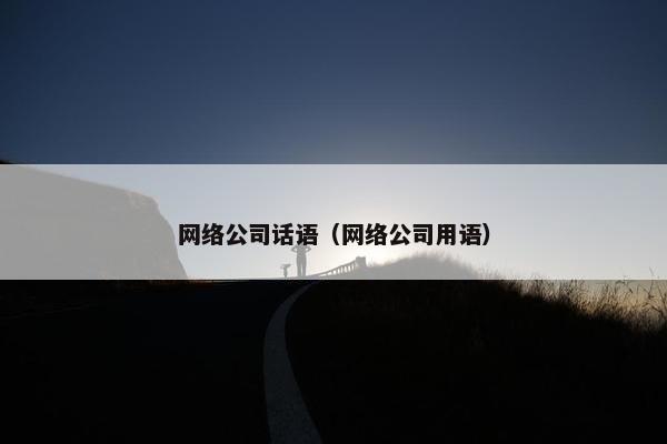 网络公司话语（网络公司用语）