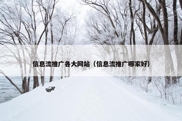 信息流推广各大网站（信息流推广哪家好）