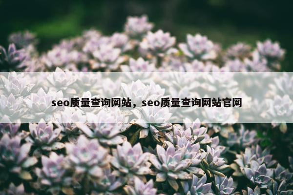 seo质量查询网站，seo质量查询网站官网