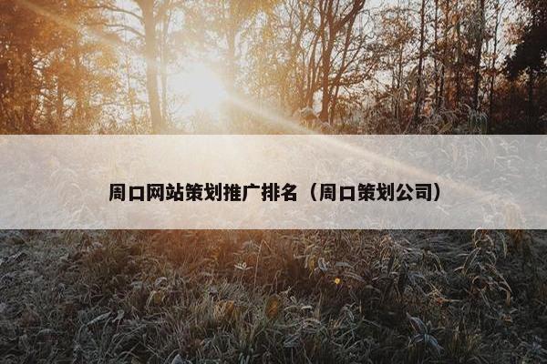 周口网站策划推广排名（周口策划公司）