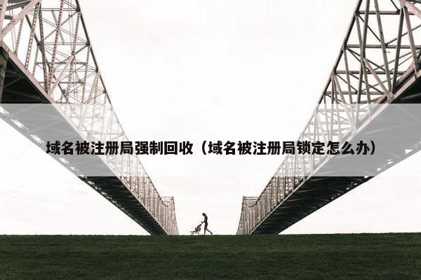 域名被注册局强制回收（域名被注册局锁定怎么办）