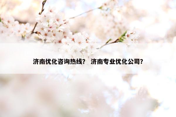 济南优化咨询热线？ 济南专业优化公司？