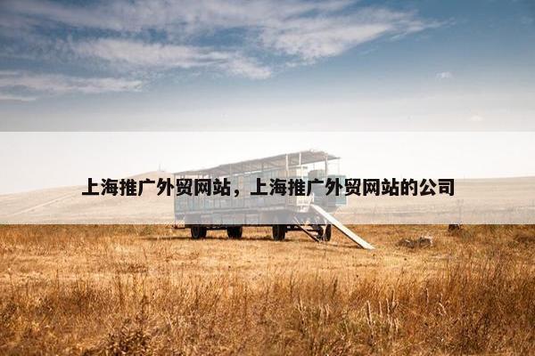 上海推广外贸网站，上海推广外贸网站的公司