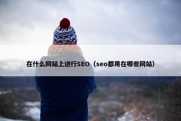 在什么网站上进行SEO（seo都用在哪些网站）