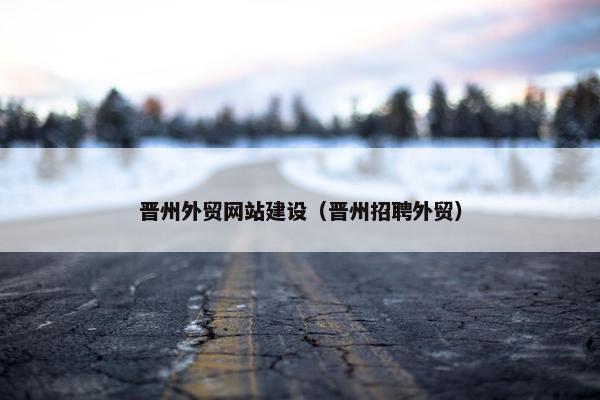 晋州外贸网站建设（晋州招聘外贸）