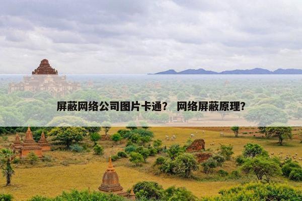 屏蔽网络公司图片卡通？ 网络屏蔽原理？