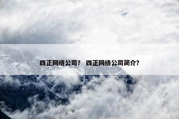 四正网络公司？ 四正网络公司简介？