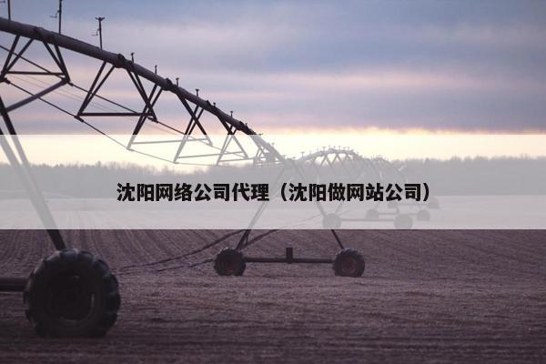 沈阳网络公司代理（沈阳做网站公司）