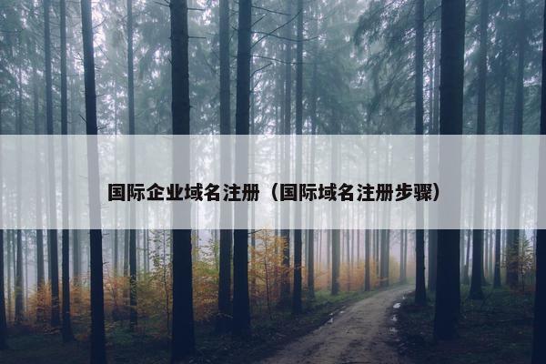 国际企业域名注册（国际域名注册步骤）