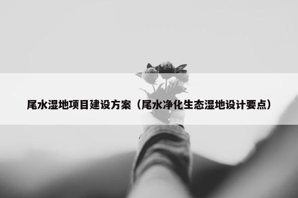 尾水湿地项目建设方案（尾水净化生态湿地设计要点）