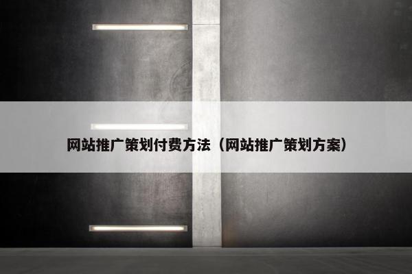 网站推广策划付费方法（网站推广策划方案）