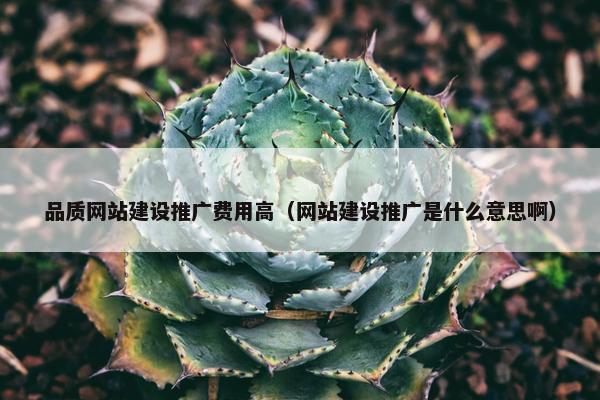 品质网站建设推广费用高（网站建设推广是什么意思啊）