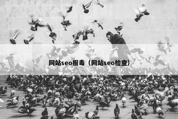 网站seo报毒（网站seo检查）