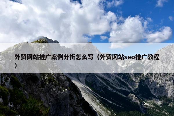 外贸网站推广案例分析怎么写（外贸网站seo推广教程）