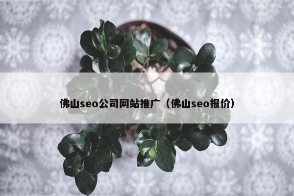 佛山seo公司网站推广（佛山seo报价）