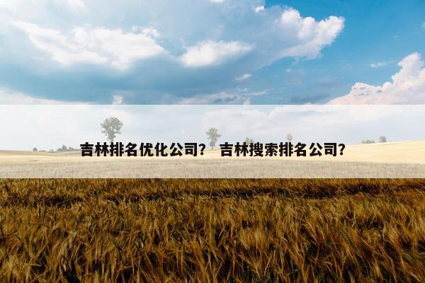 吉林排名优化公司？ 吉林搜索排名公司？
