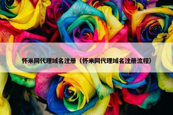 怀米网代理域名注册（怀米网代理域名注册流程）
