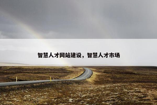 智慧人才网站建设，智慧人才市场