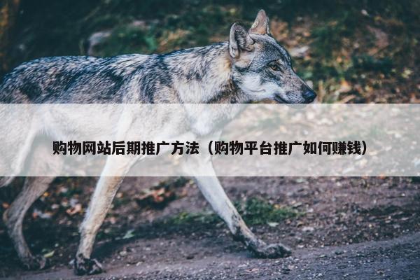 购物网站后期推广方法（购物平台推广如何赚钱）