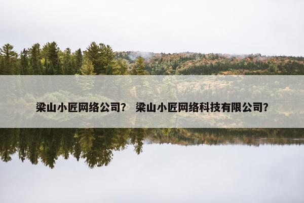 梁山小匠网络公司？ 梁山小匠网络科技有限公司？