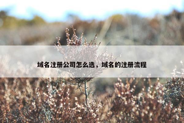 域名注册公司怎么选，域名的注册流程