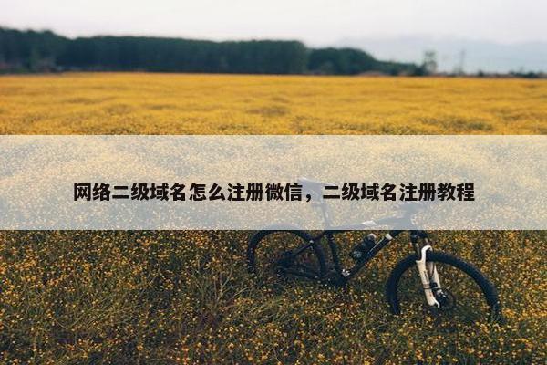 网络二级域名怎么注册微信，二级域名注册教程