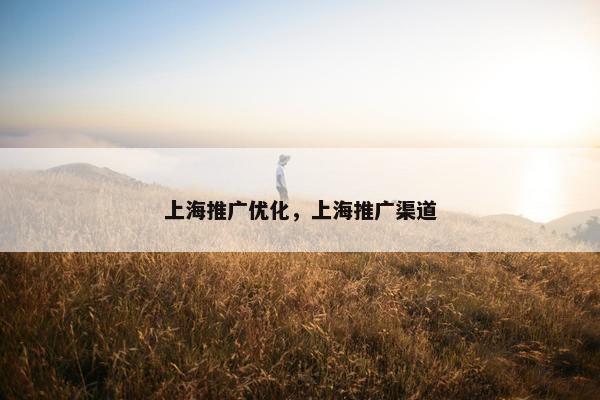 上海推广优化，上海推广渠道