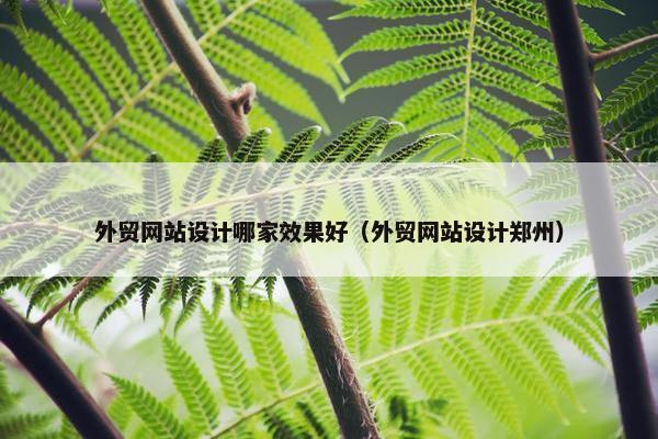 外贸网站设计哪家效果好（外贸网站设计郑州）