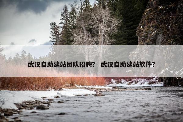 武汉自助建站团队招聘？ 武汉自助建站软件？