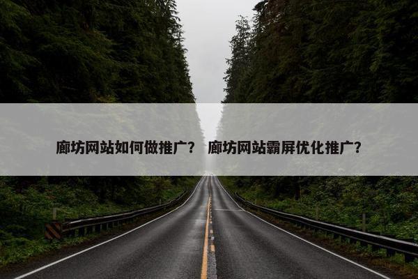 廊坊网站如何做推广？ 廊坊网站霸屏优化推广？