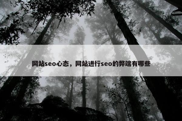 网站seo心态，网站进行seo的弊端有哪些