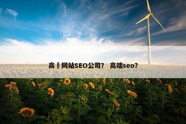 高埗网站SEO公司？ 高端seo？