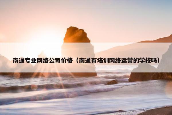 南通专业网络公司价格（南通有培训网络运营的学校吗）