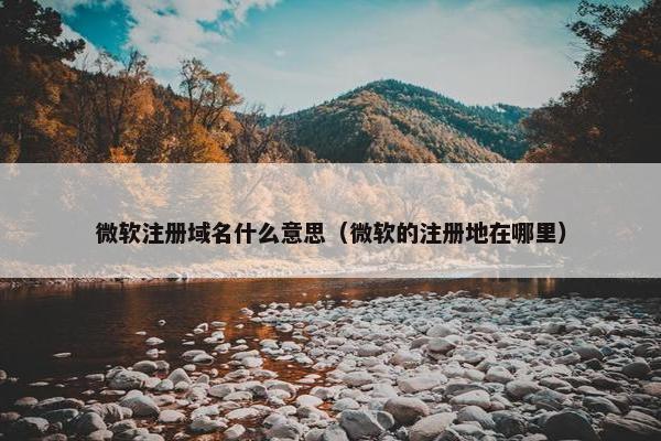 微软注册域名什么意思（微软的注册地在哪里）