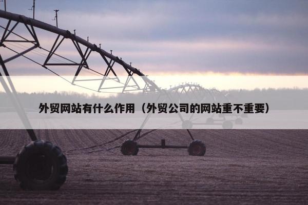 外贸网站有什么作用（外贸公司的网站重不重要）