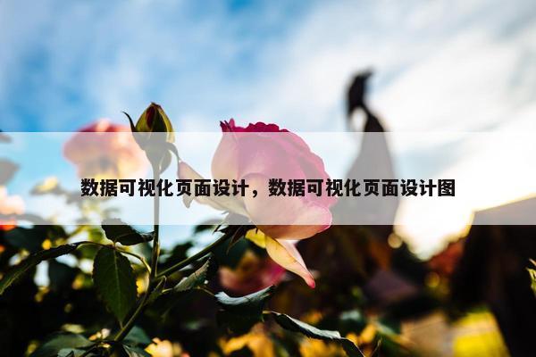 数据可视化页面设计，数据可视化页面设计图