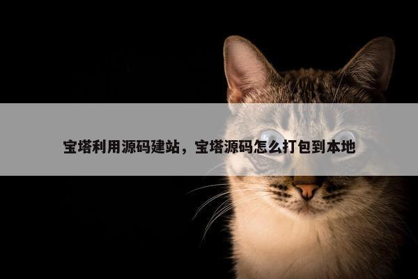 宝塔利用源码建站，宝塔源码怎么打包到本地
